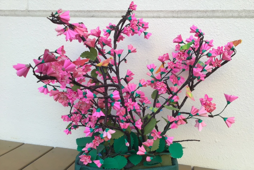 Image hover effect image